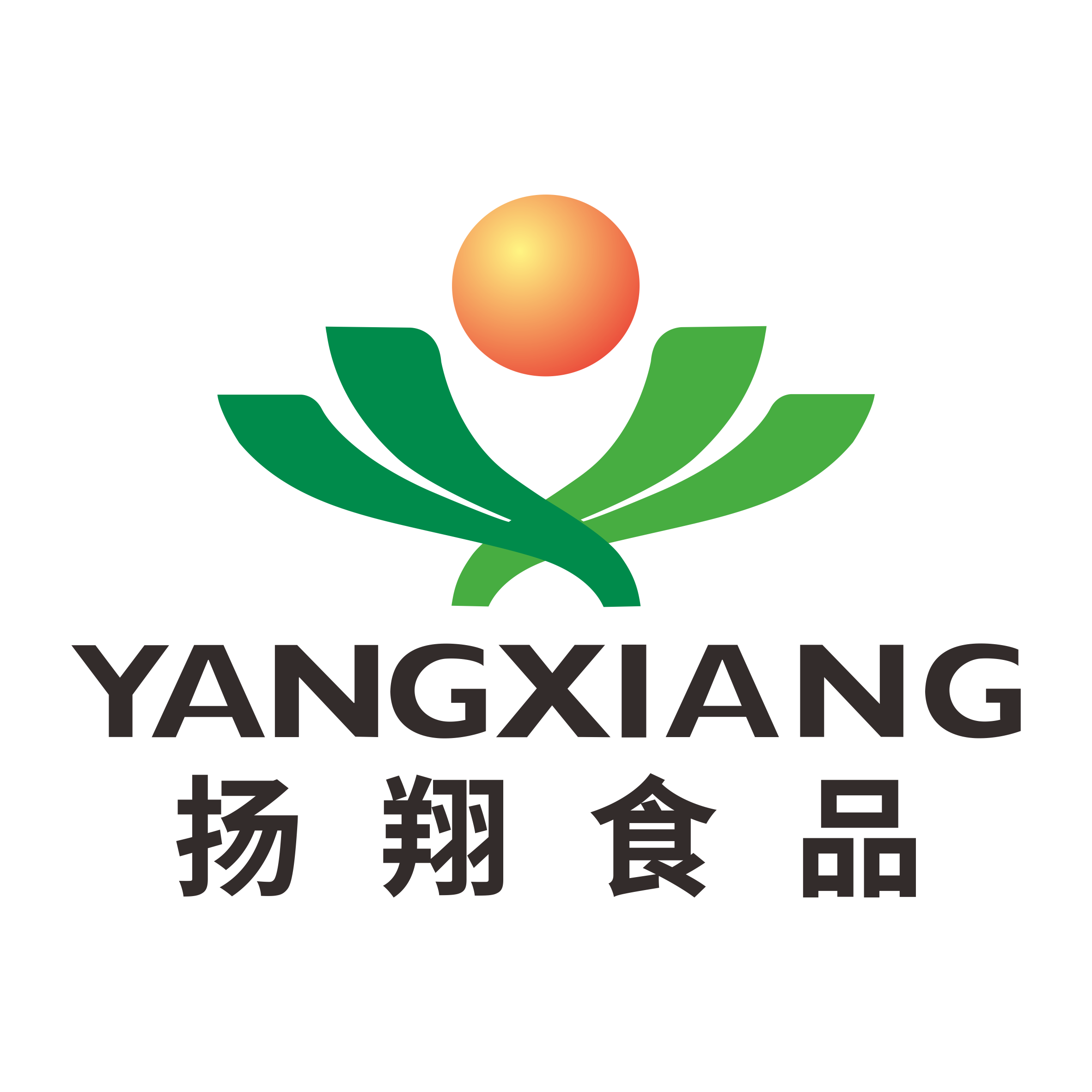 扬翔食品旗舰店的LOGO