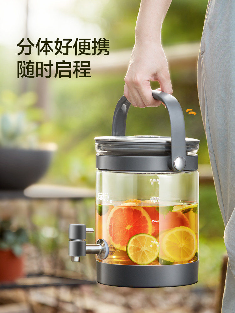 Supor Pure Titanium Health Pot, Multifunctional 2.9L Large Capacity Kettle for Home Use, Office Glass Health Tea Maker