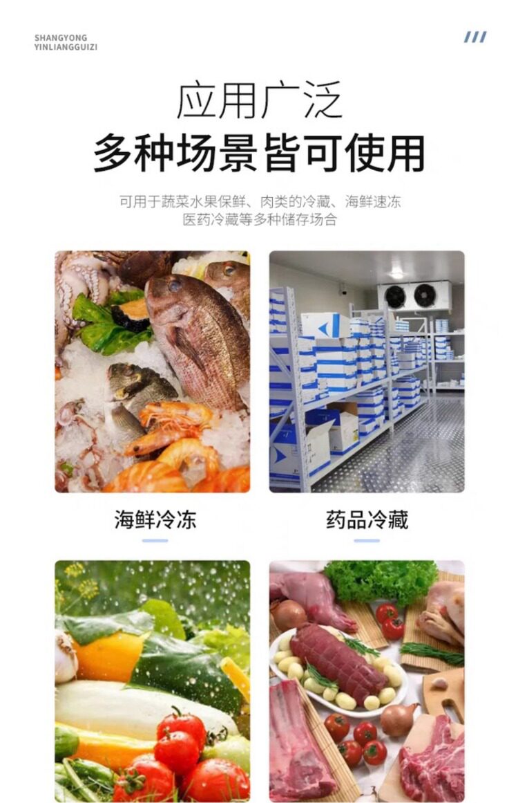 比型半封闭冷库机组15匹20匹压机组船用速冻冷冻低温机冷库专用(图10)
