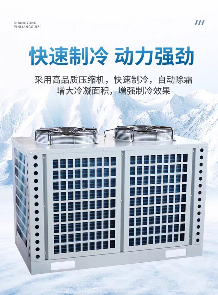 比型半封闭冷库机组15匹20匹压机组船用速冻冷冻低温机冷库专用(图8)