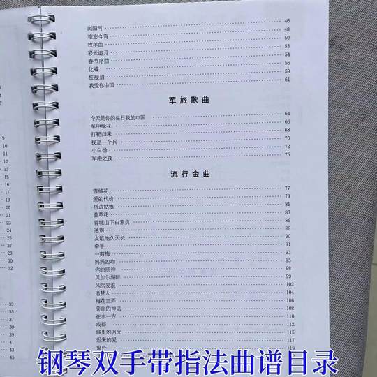 有声钢琴双手简谱100首带指法分解和弦零基础钢琴入门带教学