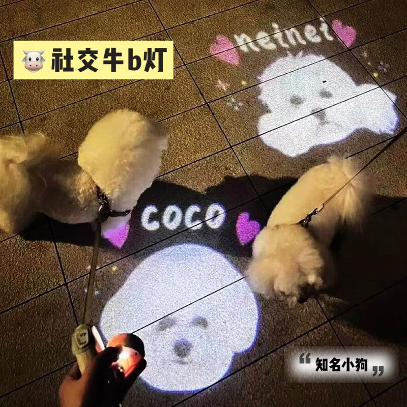 【Social Light】Dog Projector Light, Dog Walking Glow Light, Outdoor Anti-Loss Device, Puppy Pet Night Walking Light