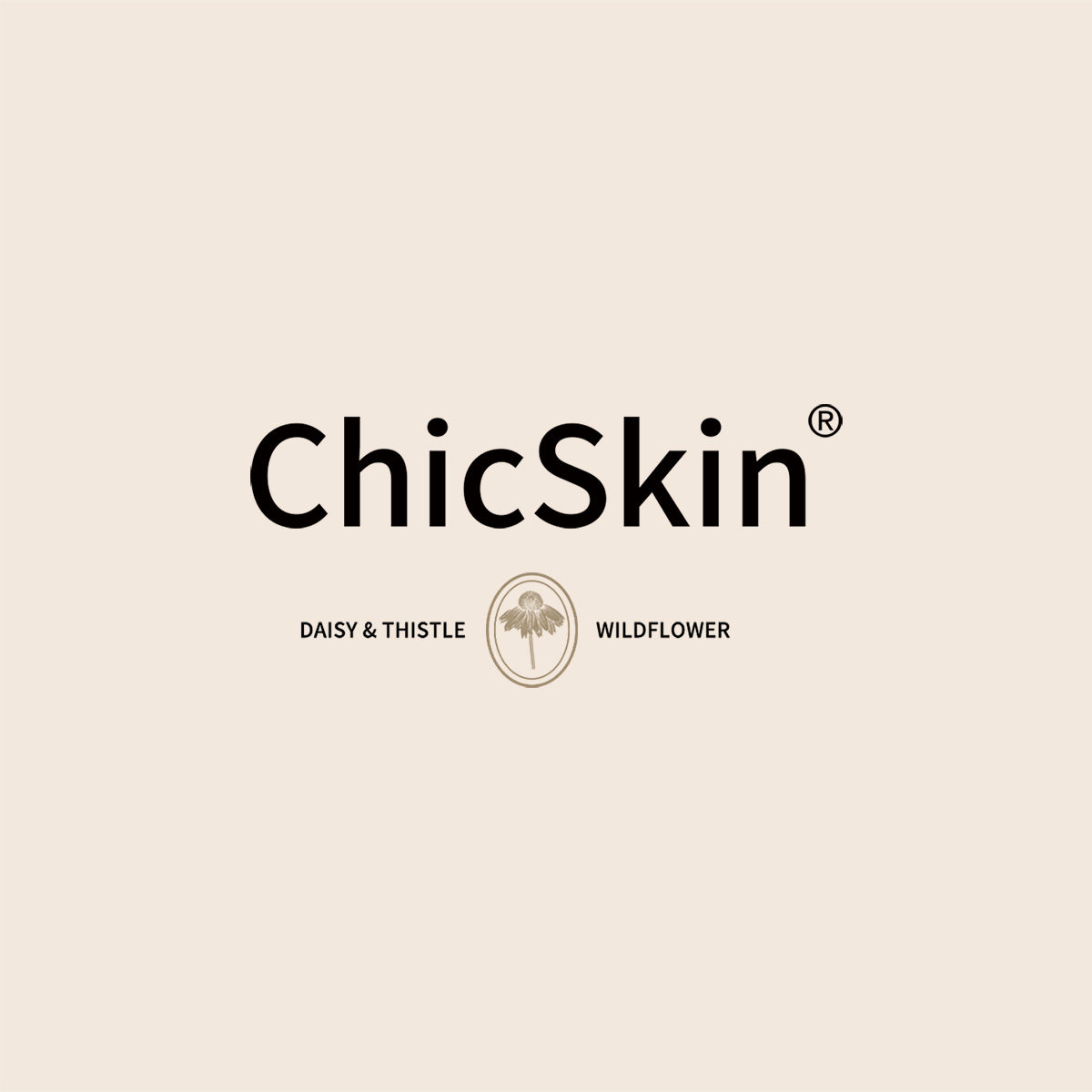 Chicskin 光与影与四季的故事的LOGO