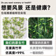 New Chinese-Style Simulated Bamboo Landscaping Indoor Landscape Background Wall under the Stairs Green Plants Courtyard Window Decoration Fake Plants