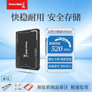 Great Wall Cs20 2.5 Solid State Drive Sata3 Desktop Laptop Ssd 256Gb/512Gb/1Tb