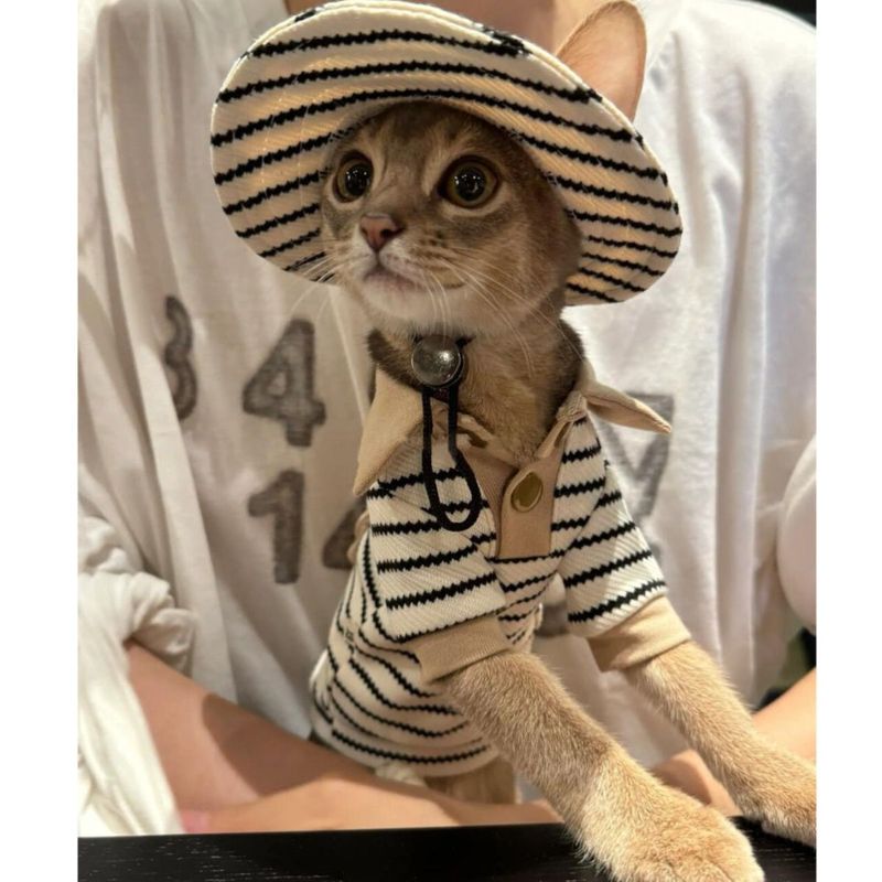 Abyssinian Cat Clothes Autumn and Winter Fresh Style Polyester-Cotton Polo Shirt Fisherman Hat Set Sphynx Cat Clothes