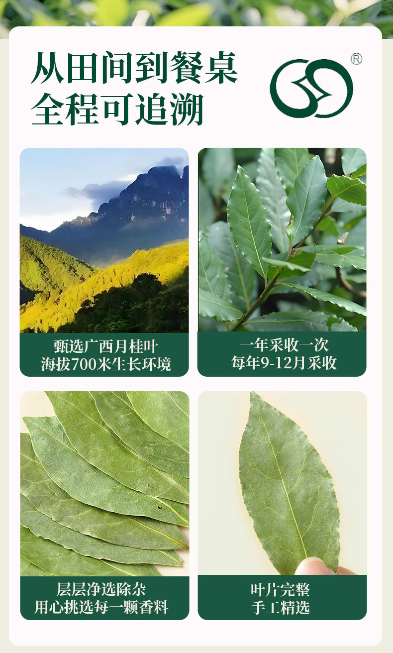 安享好物 安享A级香叶-如实香叶 国标 