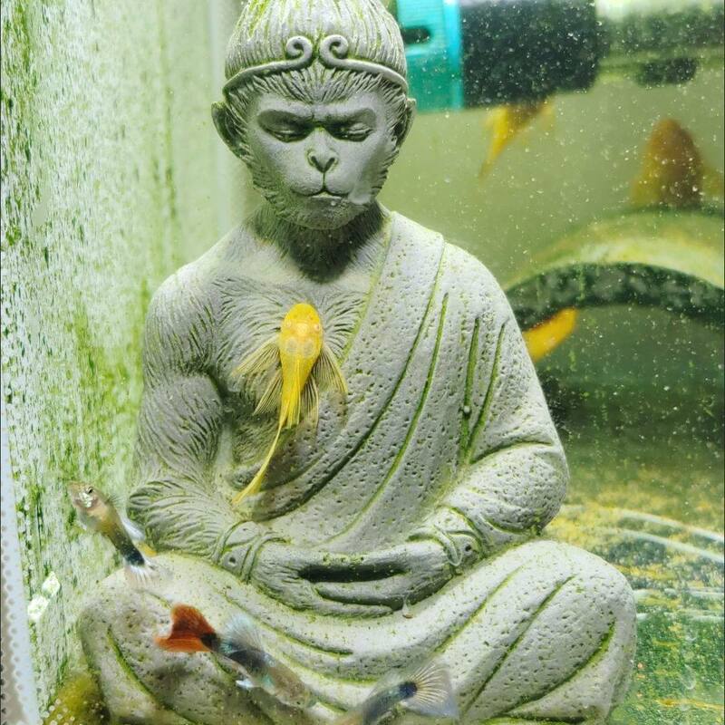 Sakyamuni Buddha, Sun Wukong, and the Great Sage of Heaven Figurines for Home Decor, Living Room Tea Pets, Bonsai Micro-Landscapes, Rockeries, and Fish Tank Landscaping Sakyamuni Buddha, Sun Wukong, and the Great Sage of Heaven Figurines for Home Decor, Living Room Tea Pets, Bonsai Micro-Landscapes, Rockeries, and Fish Tank Landscaping