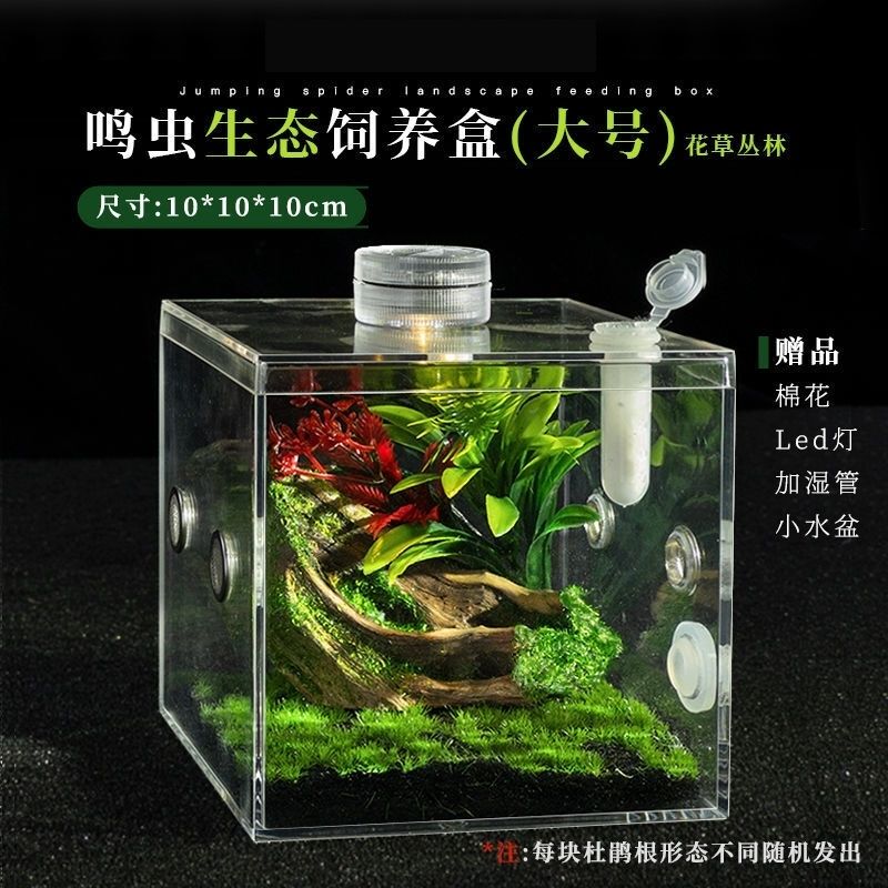 Acrylic Spider Box for Jumping Spiders, Bamboo Flies, Crickets, Mantises, Desktop High-Transparency Insect Breeding Box for Lazy People, Grasshopper Breeding Box, Reptile Acrylic Spider Box for Jumping Spiders, Bamboo Flies, Crickets, Mantises, Desktop High-Transparency Insect Breeding Box for Lazy People, Grasshopper Breeding Box, Reptile