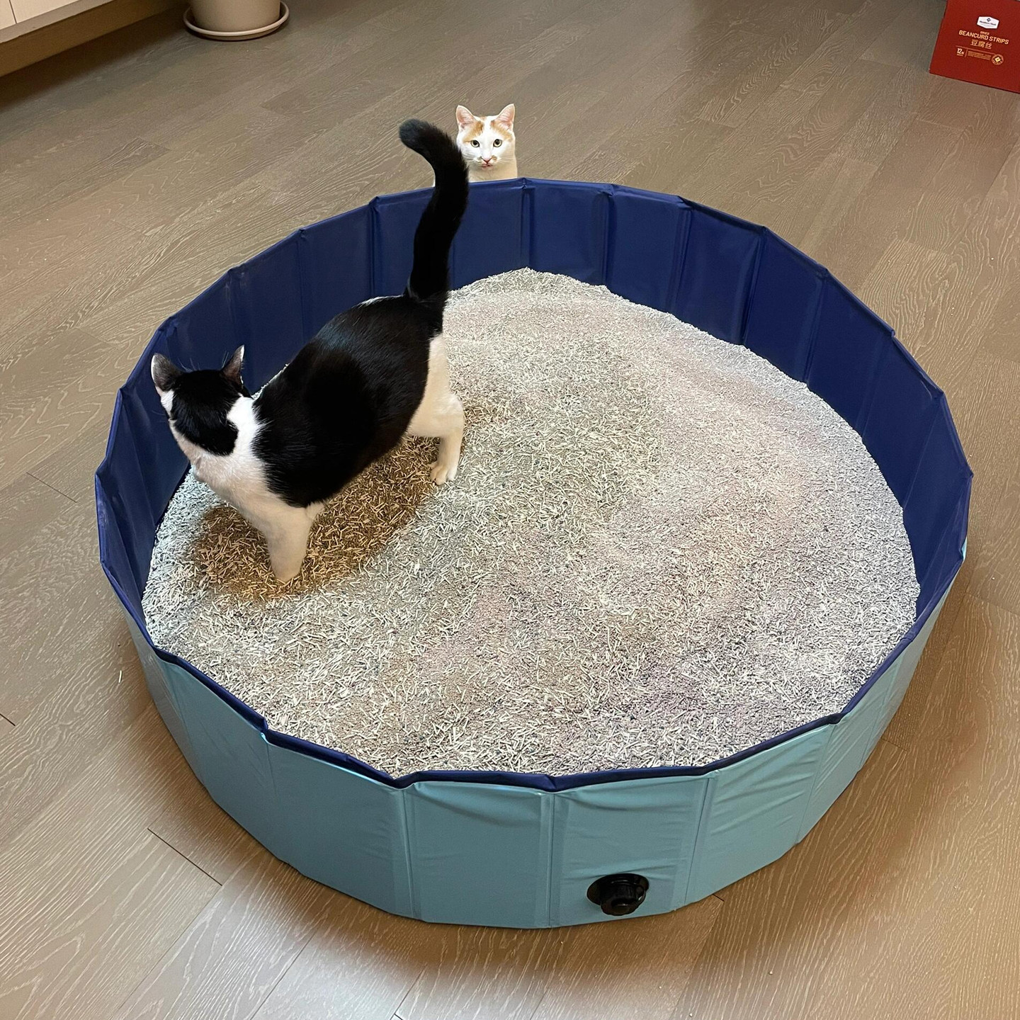 过年留守猫咪神器🌟超大防外溅猫砂盆,宠物无忧猫砂清洁神器🐾-猫砂盆-淘宝好物网