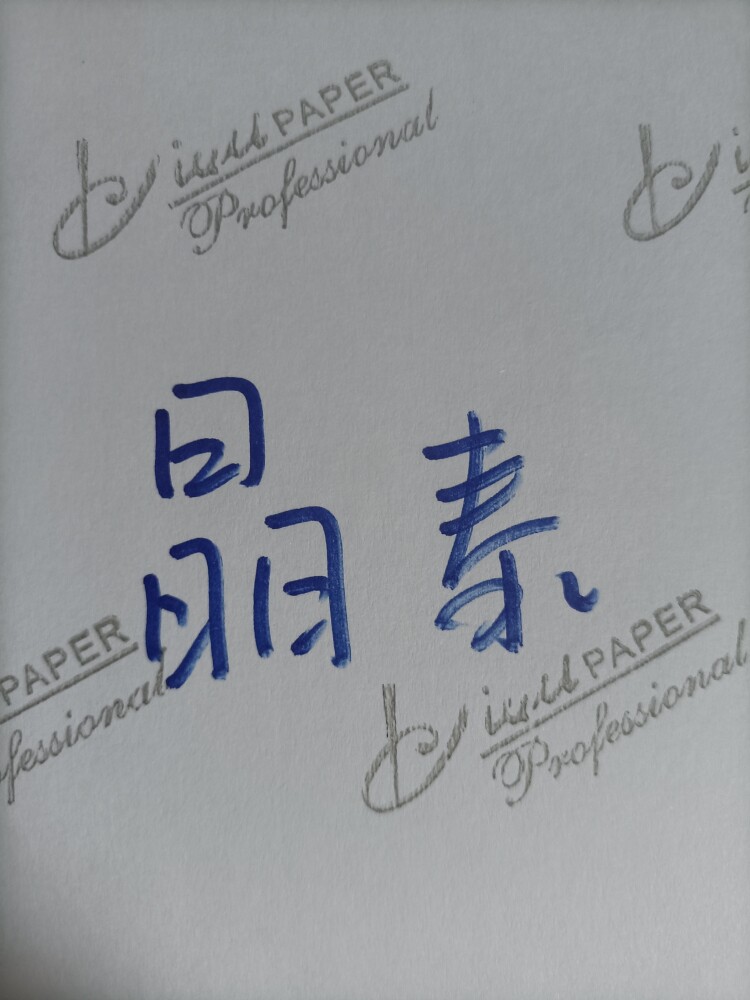 晶泰洪办公的LOGO