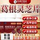 李时珍葛根灵芝护肝片官方正品旗舰店男士女士女性解酒养肝护肝