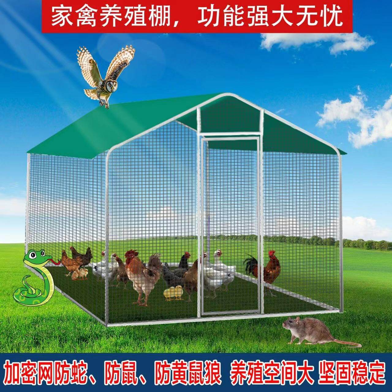 鸡笼户外鸡棚家禽养殖,如何选择特大号兔笼鸽笼防雨大型鸡舍搭建整套方案?-养鸡网-淘宝好物网