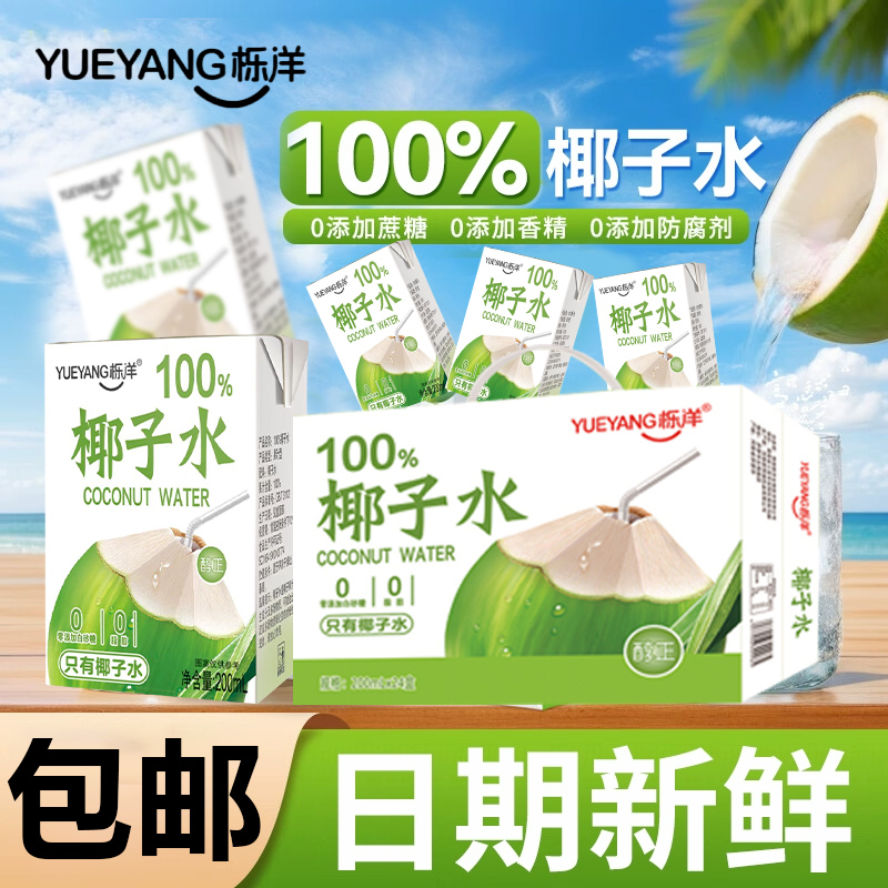 椰子　10点 椰子 10点 ZX-10 リア 88-90
