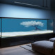 White Big Tree Blue Fish Tank Background Sticker 5D Stereo High-Definition Stream Tank Aquarium Landscaping Decorative Background Painting