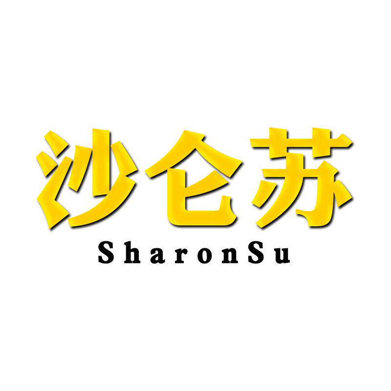 沙仑苏炊具配件店