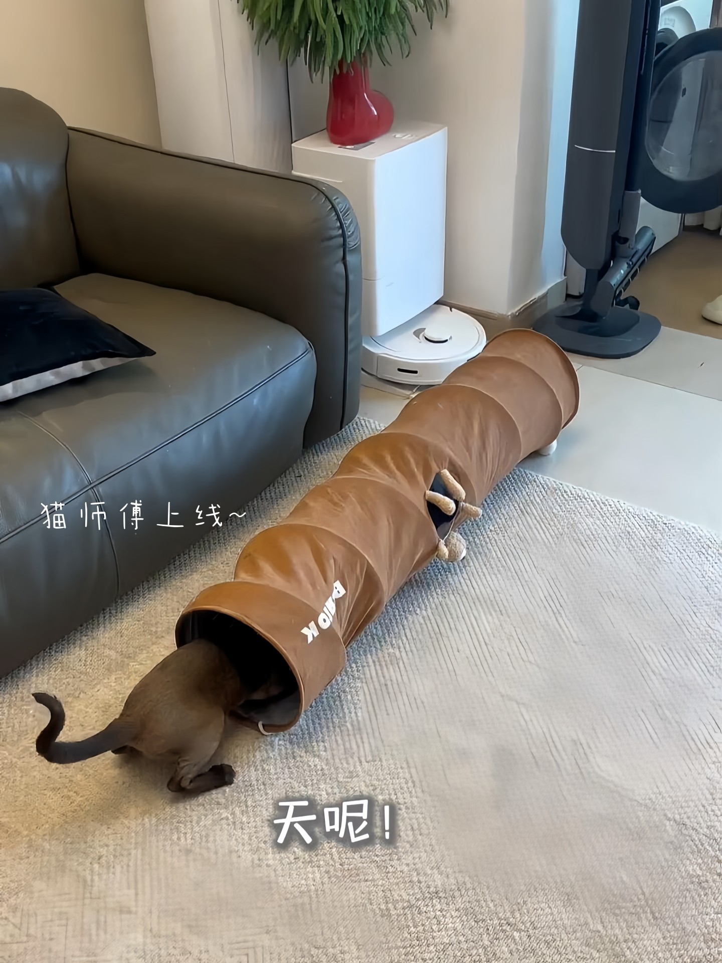 Cat Tunnel Cat Toy for Self-Entertainment, Boredom Relief, and Energy Consumption, Scratch-Resistant, Bite-Resistant, Foldable, Tunnel-Shaped, Enriching Cat Nest