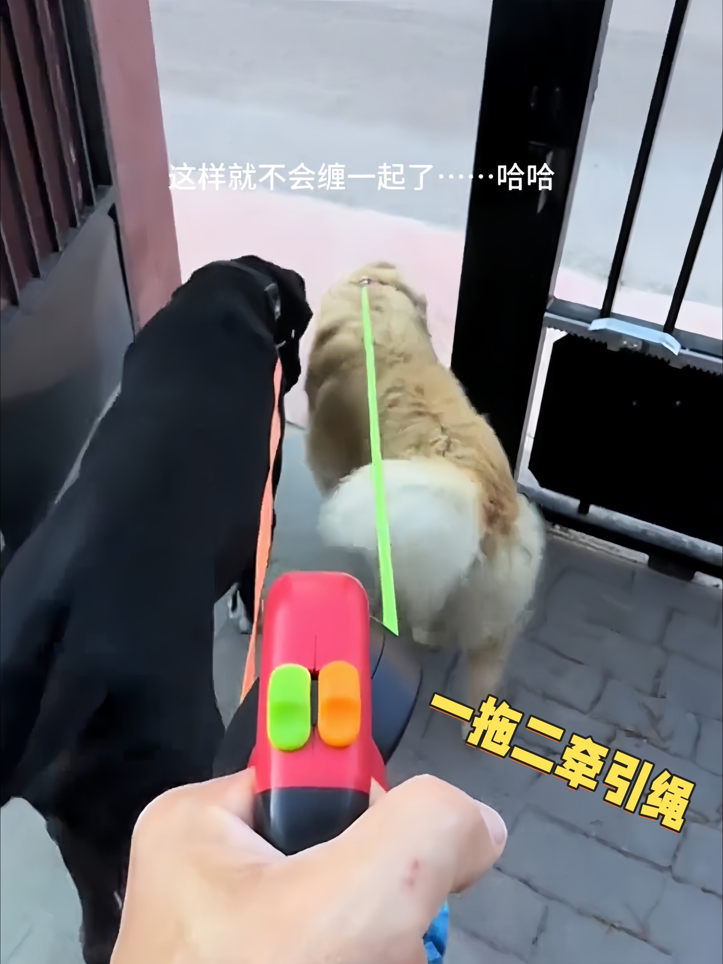 One-To-Two Dog Leash, Automatic Retractable Double-Headed Dog Walking Leash, Anti-Shock Pet Leash for Small, Medium, and Large Dogs