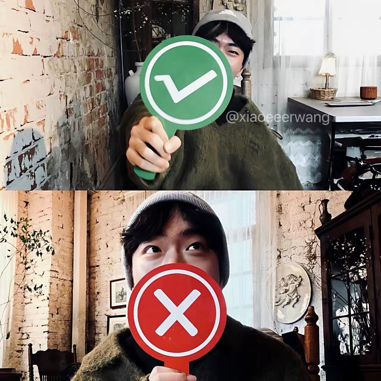 桃黑黑举牌对错举手牌,双面陶嘿同款道具旅游打卡神器_影视_淘宝游戏网