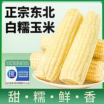 农投！东北白糯玉米280-350g*8棒