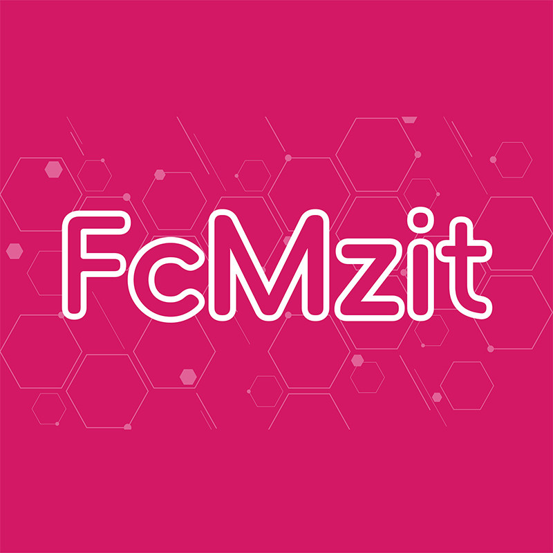 FcMzit海外旗舰店