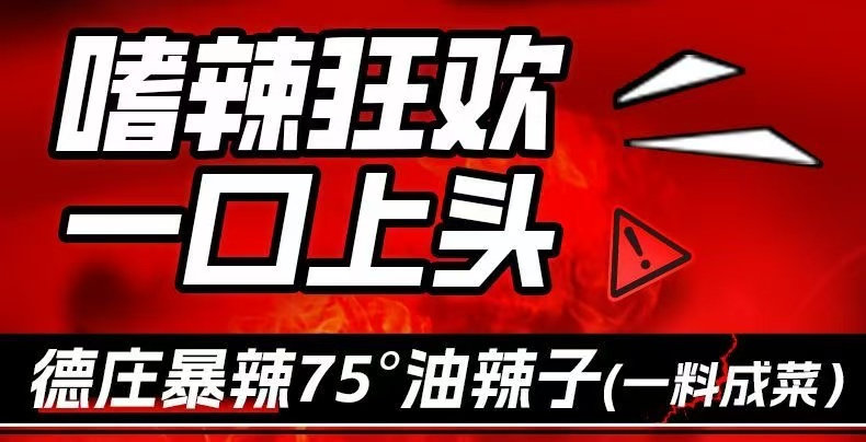 安享好物 安享D级油辣椒-德庄75度油辣子 团标 