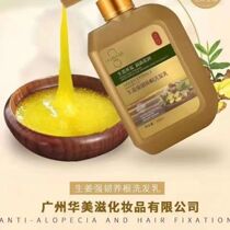 Huameizi ginger extract anti-hair loss shampoo 500ml ginger shampoo strong root nourishment buy big get small (300ML)