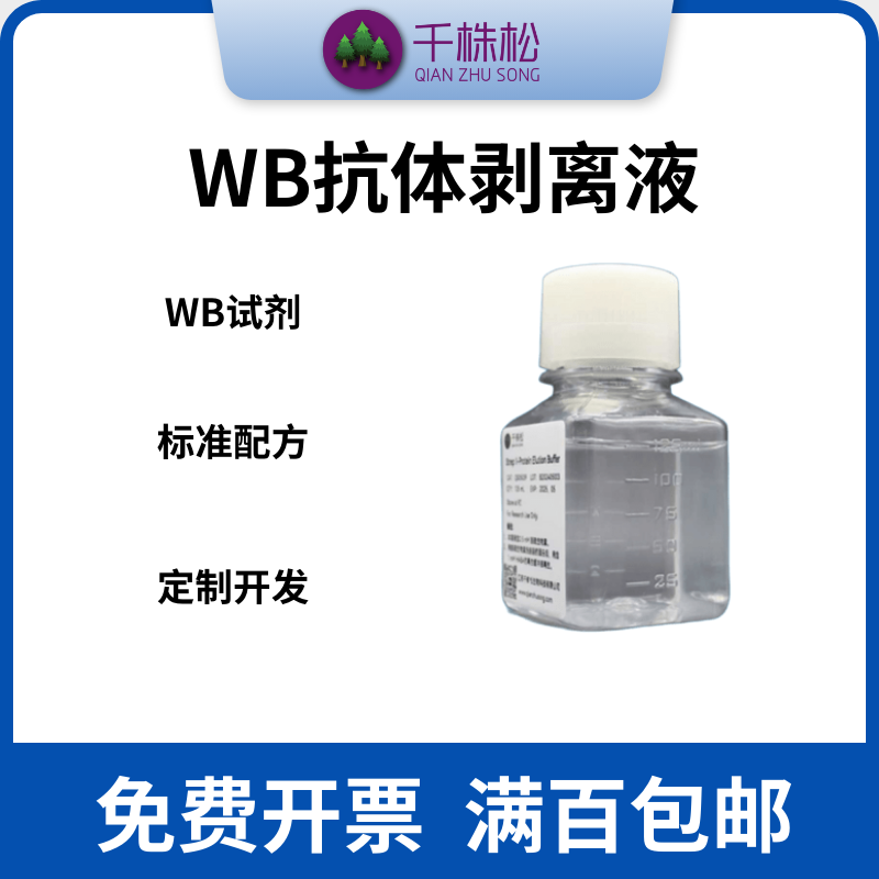 WB抗体剥离液膜再生液去除膜上抗体节省样品产品温和