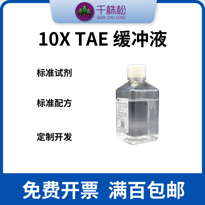 TAE溶液 10X Tris acetate-EDTA buffer DNA电泳缓冲液