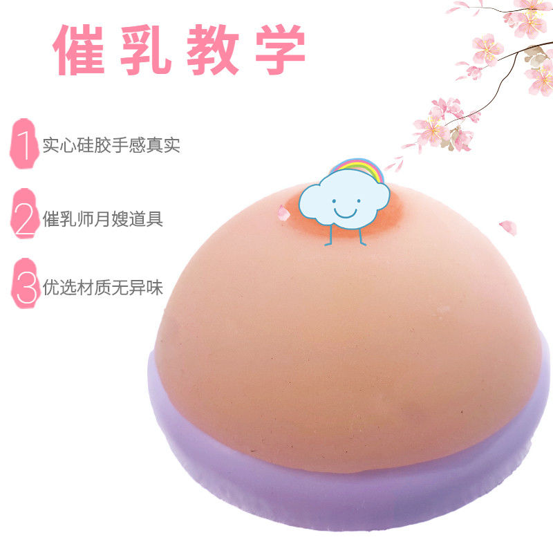 高级医学仿真女性乳房义乳假乳催乳师培训教具哺乳教学纯硅胶模型