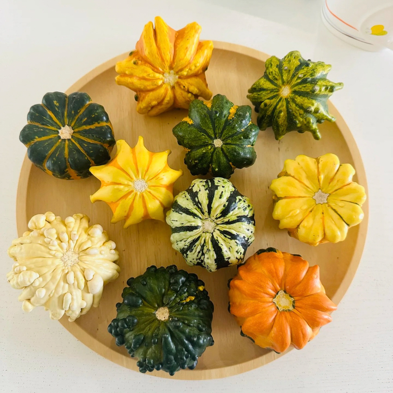 Cc01【One Item, One Photo】Premium Gourds Directly Sourced from Yunnan, High-End Floral Materials, Visually Appealing and Suitable for Display Cc01【One Item, One Photo】Premium Gourds Directly Sourced from Yunnan, High-End Floral Materials, Visually Appealing and Suitable for Display