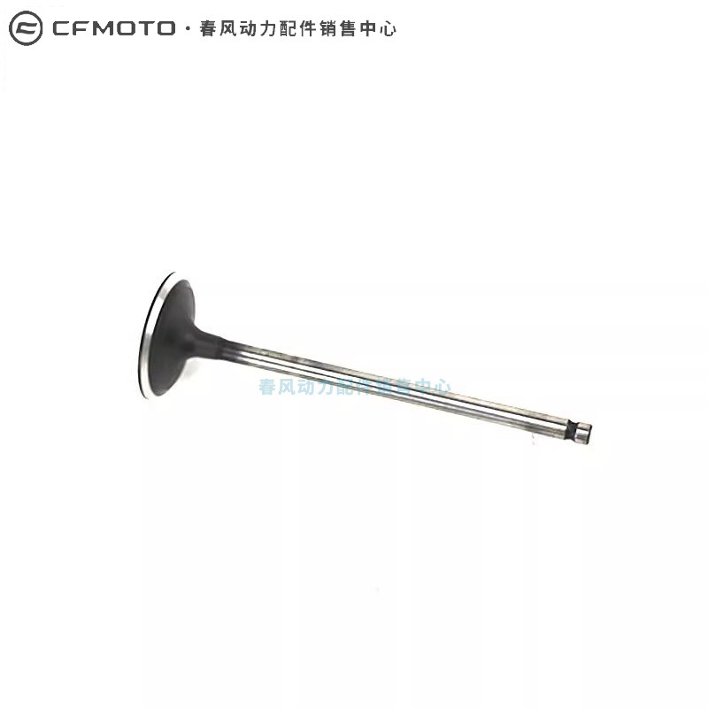 CFMOTO春风450SR气门油封:守护骑士梦想的神秘零件🔧-气门-淘宝百科网