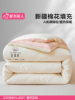Urban Beauty Xinjiang Cotton Quilt All-Season 2025 New Winter Quilt Core Thickened Warm Single Quilt
