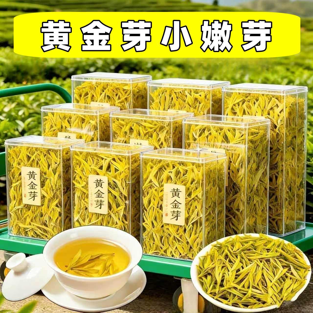 golden leaf tianfu zhong branch Latest Best Selling Praise Recommendation |  Taobao Korea | 黄金叶天福中支最新热卖好评推荐- 2026年1月| 淘宝韩国
