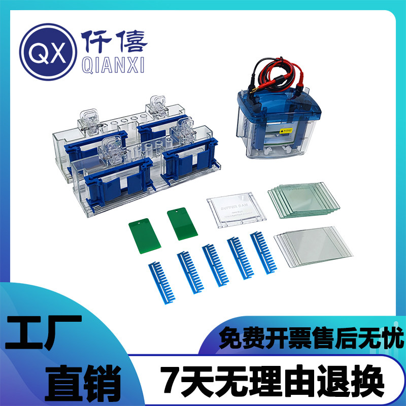 通用Bio-RadMini小型WB垂直电泳槽sds-page蛋白槽转印槽制胶电源