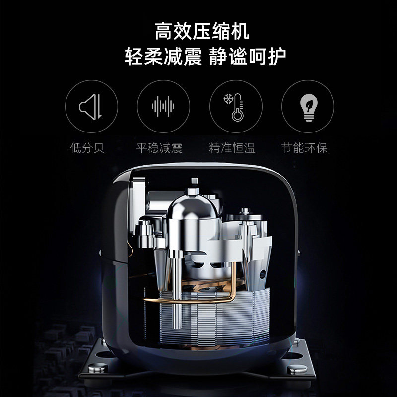 奥克斯SC-162A248DS冰箱图片