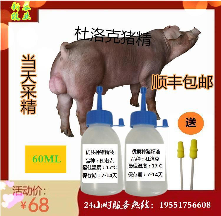牛世界精猪　 60ml超大容量猪精来袭！养猪人必看的高效配种神器！-配种服务-淘宝好物网