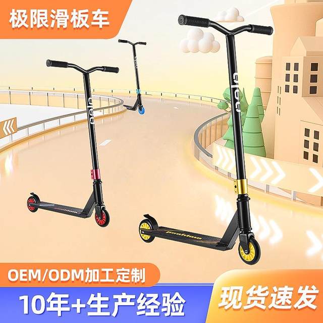 Children's Scooter for Ages 6-12, Two-Wheeled Street-Style Stunt Scooter, Entry-Level Extreme Scooter