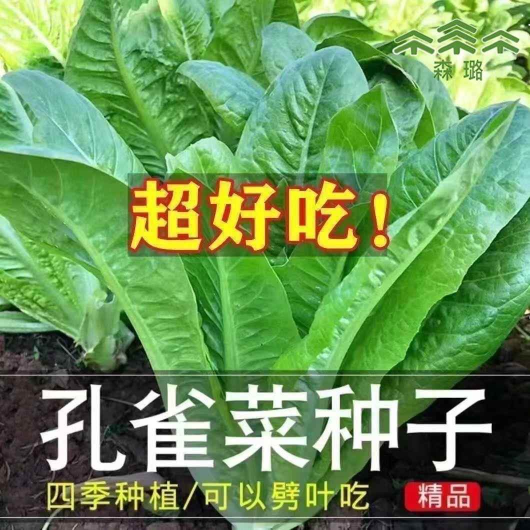 东方甄选会员要5000元？真相来了！你真的了解吗？