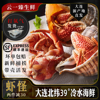 Dalian direct delivery of fresh shrimp monsters