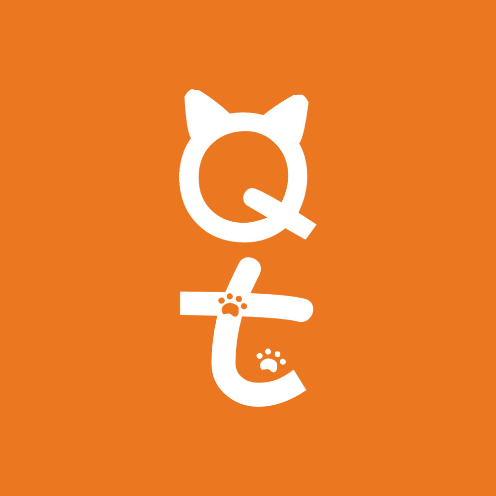Qt旗舰店