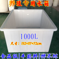 Large square box 1000L liter extra large aquatic product box beef tendon plastic box fish breeding turtle box pickling plastic box