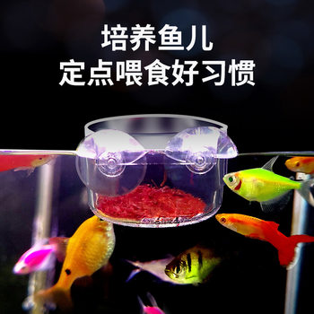 Landscaping and feeding dual-purpose wall-mounted fish tank device aquatic plant aquarium