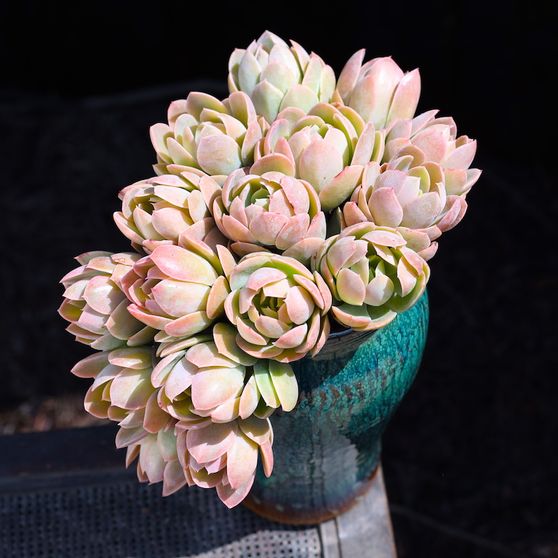 揭开焊接工艺革新者——威勒Weller WXD2020套装的神秘面纱