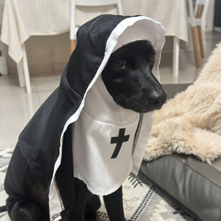 Dog Halloween Costume Nun Outfit Funny Cosplay Photo Props Hoodie Clothes for Small and Medium-Sized Dogs Gothic Style