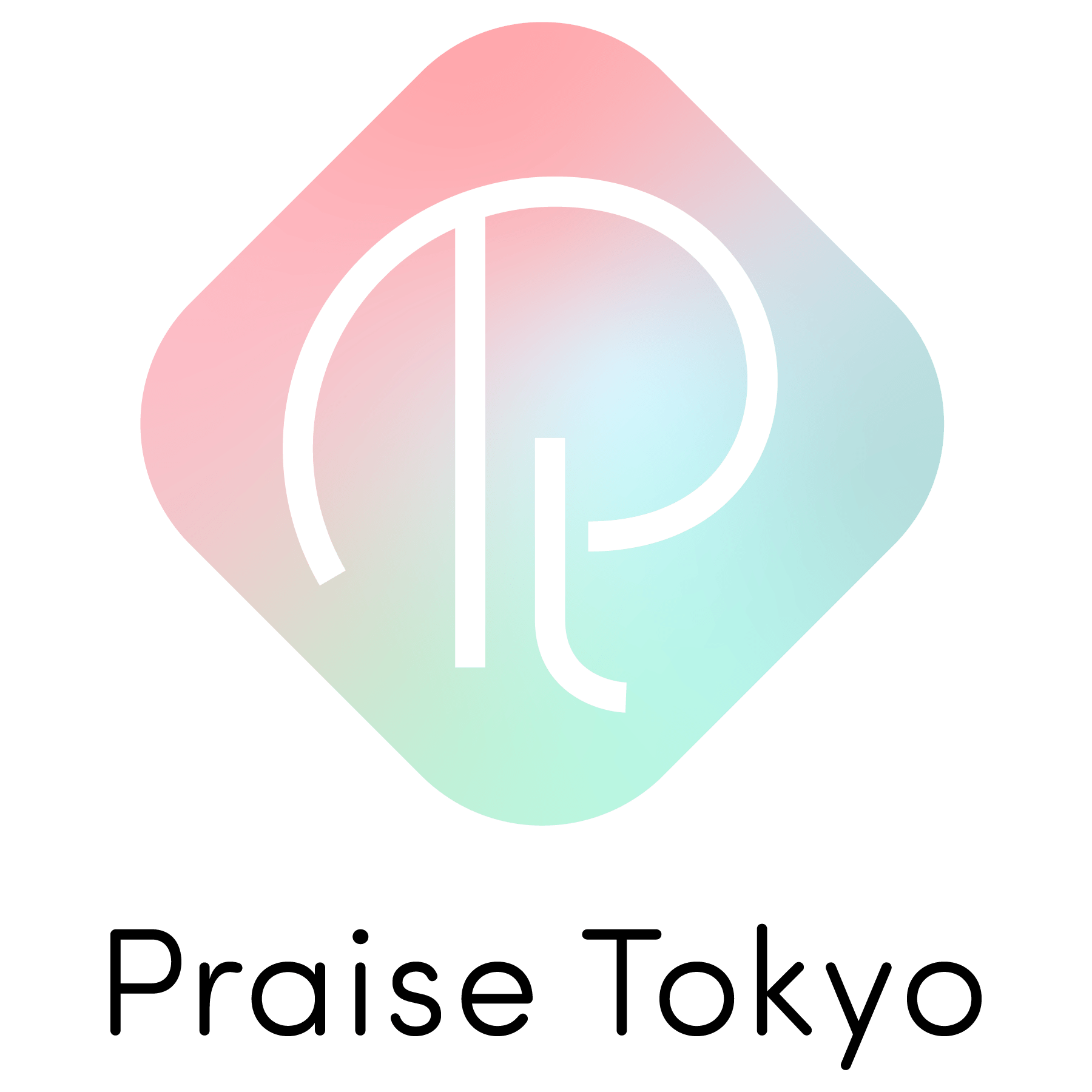 Praise化妆品海外专营店的LOGO