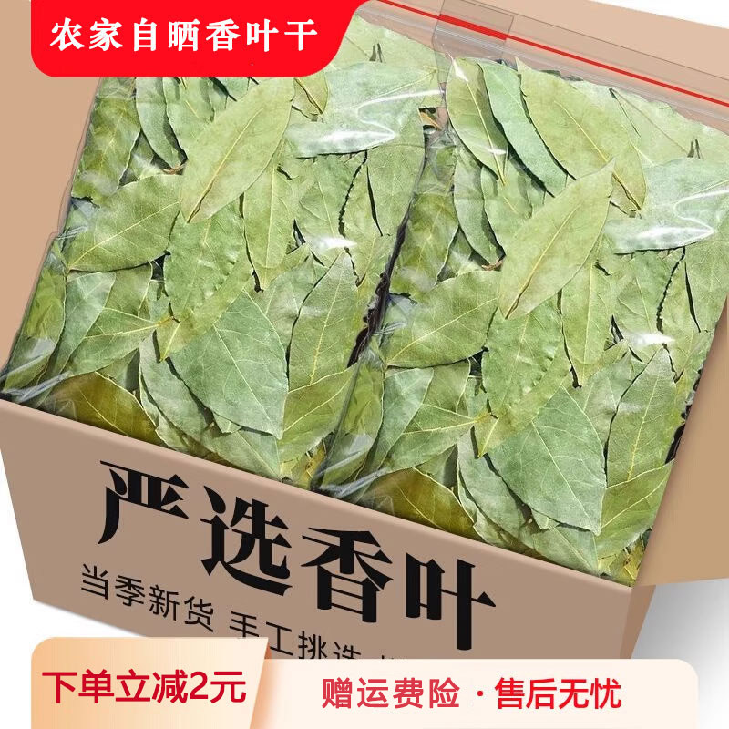 【初摘みベイリーフのみ】卸売りベイリーフ、ベイリーフ調味料、スパイス、煮込み料理・シチュー用調味料 - 正味重量