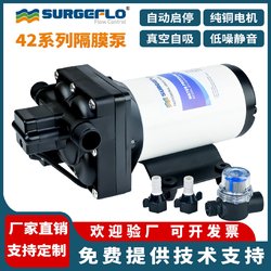 42 제조업체 직접 판매 110V220V 전기 다이어프램 펌프 소규모 자체 프라이밍 부스터 충전 기계 액체 전달 워터 펌프