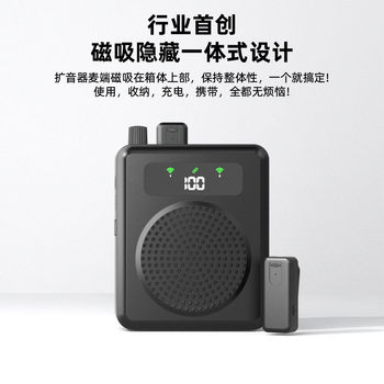 Cross-Border Wireless Lavalier Microphone Amplifier R11 Private Model Little Bee for Teachers, Tour Guides, Training, Outdoor Use, and Shopping Malls
