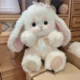 Cute Lop-Eared Rabbit Plush Toy, Soft and Adorable Bond Rabbit Doll, Long-Eared Rabbit Stuffed Animal, Bunny Plush Toy, Birthday Gift